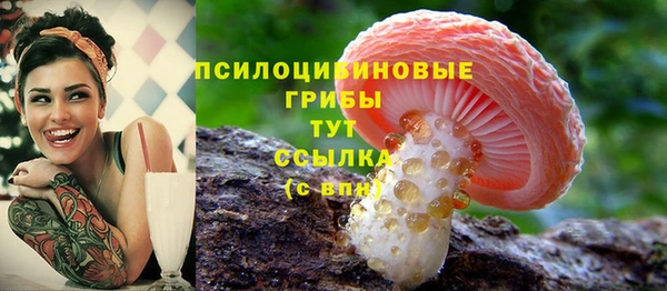 таблы Абинск