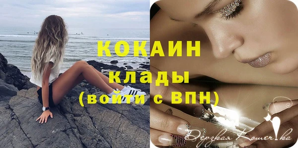 шишки Покров
