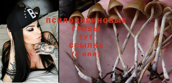 шишки Покров