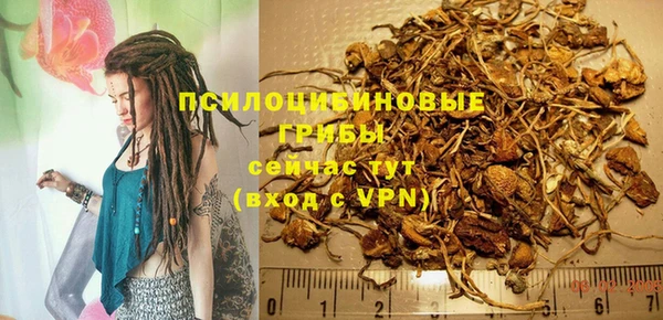 прущая мука Покачи