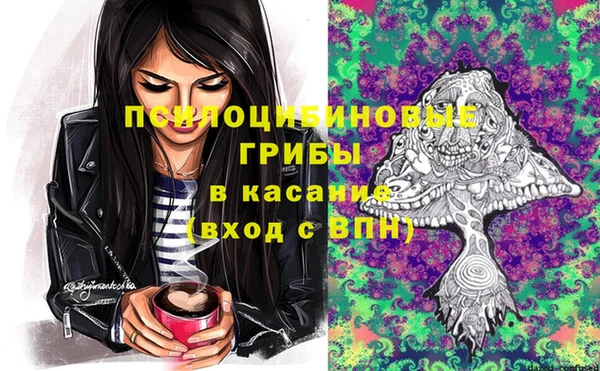 индика Покровск